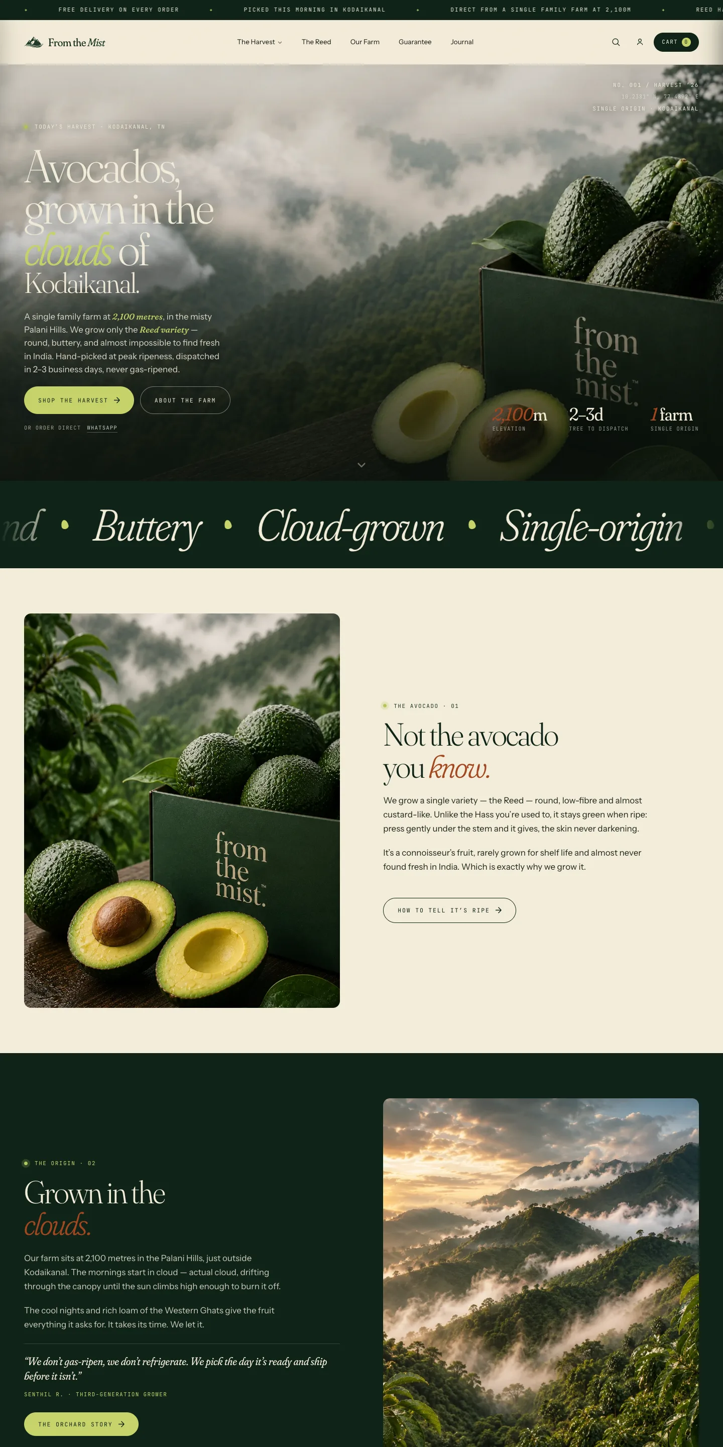 From the Mist storefront: avocados grown in the clouds of Kodaikanal